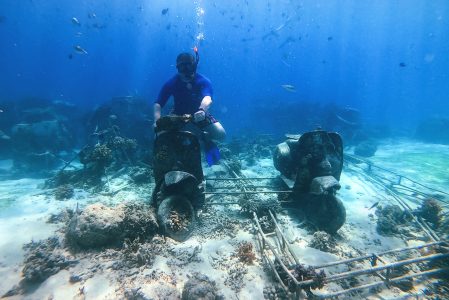 Lombok Gili Trawangan Snorkeling Biorock Vespa