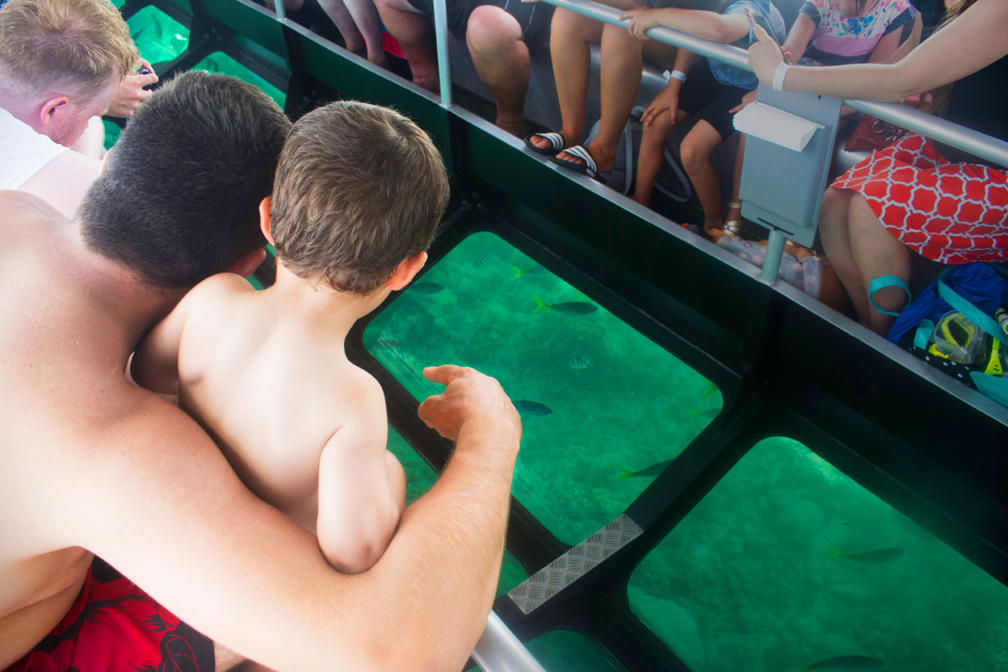 Glass Bottom Boat