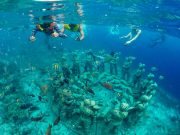 Lombok Gili Meno - Snorkeling Romantic Sculpture