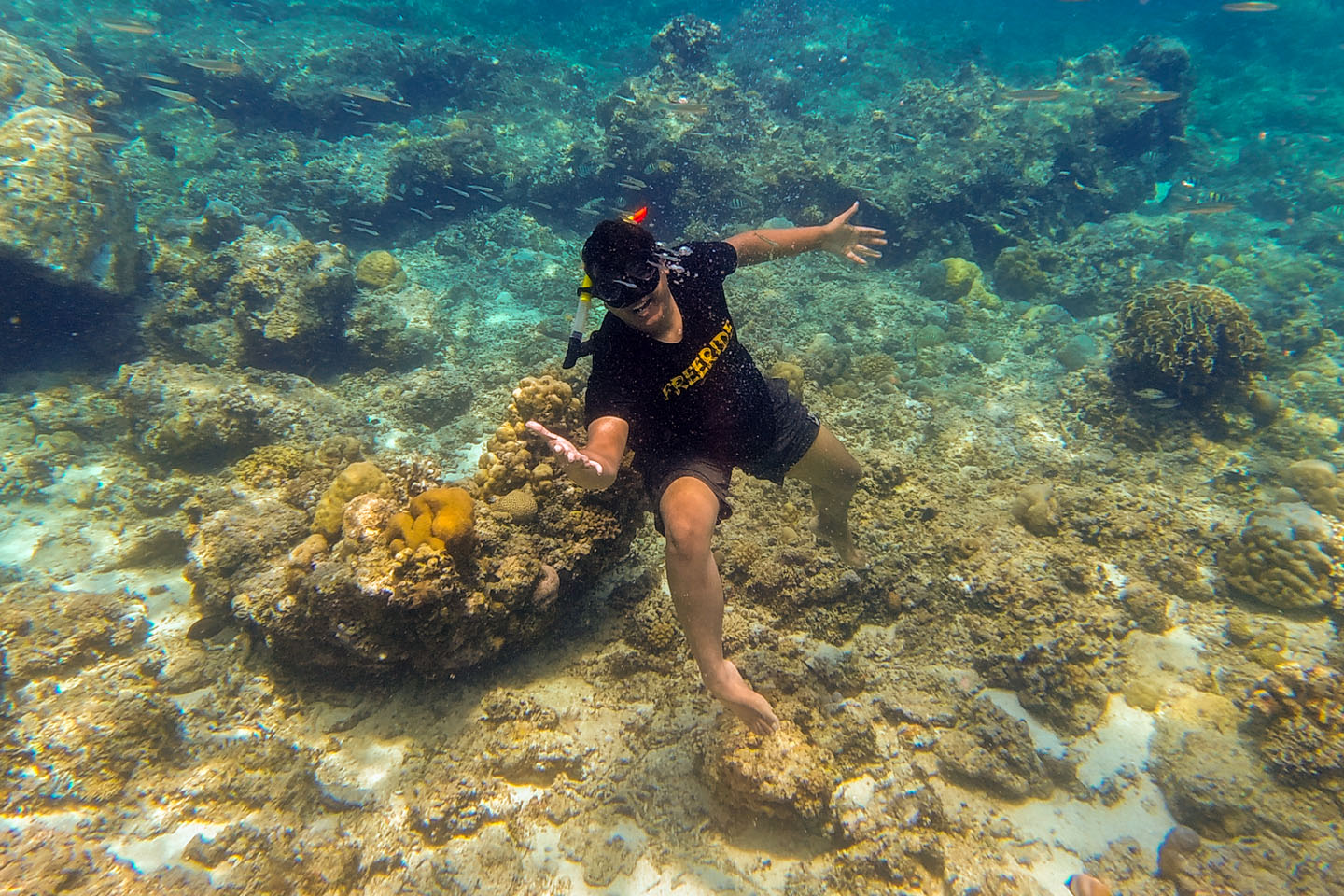 Lombok Gili Trawangan - Snorkeling
