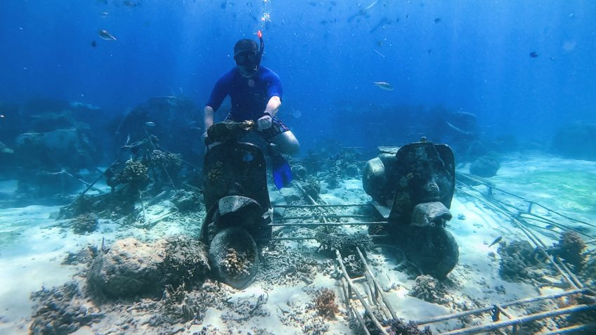 Lombok Gili Trawangan Snorkeling Biorock Vespa