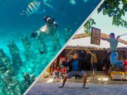 Tour Travel and Activity Service